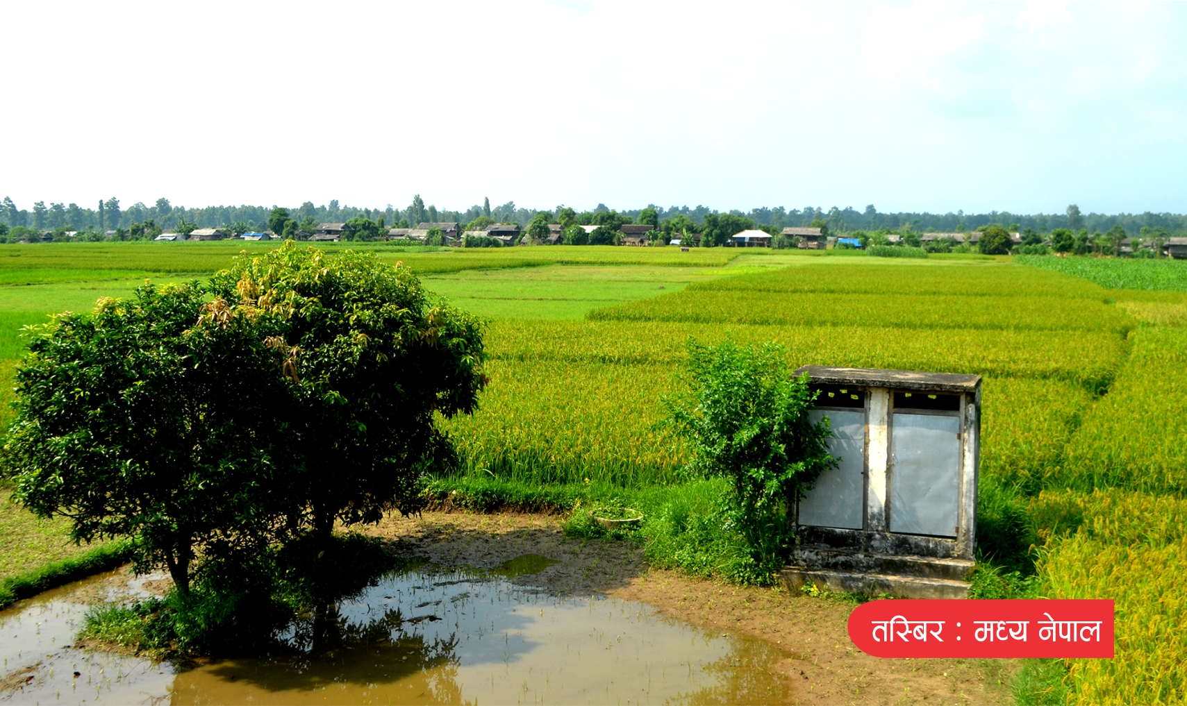 सत्तारुढ गठवन्धनका शिर्ष नेताहरु निजगढ विमानस्थल द्रुत गतिमा निर्माण गर्ने प्रतिबद्धता पुरा गर !